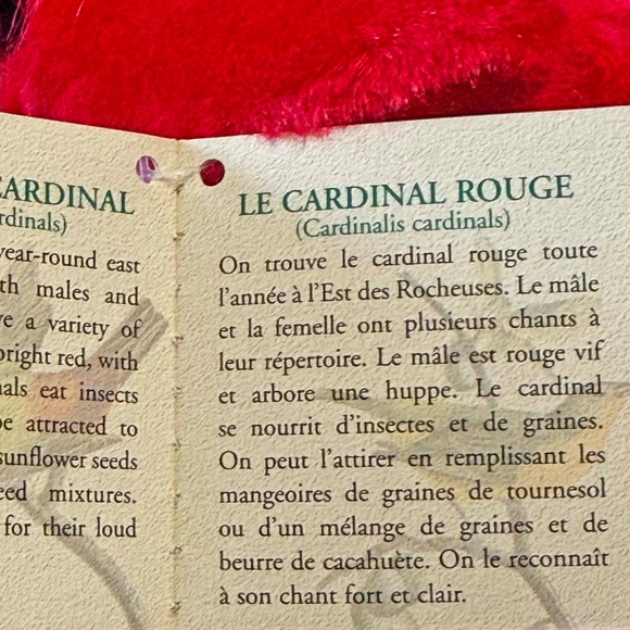 SINGING BIRD, PLAYS REAL BIRD CALLS, RED CARDINAL, 6 L x 4 ½ W x 4 ¾ H INCH PLUS - Picture 10 of 16